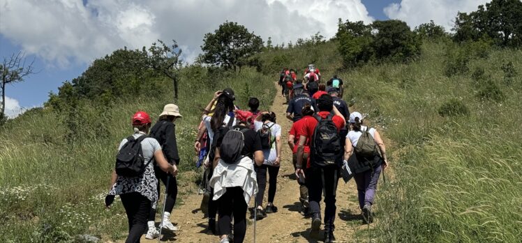 Tekirdağ'da müze çalışanları Ganos Dağı eteklerindeki ormanlarda yürüyüş yaptı
