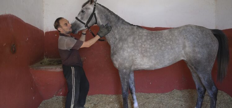 98. Gazi Koşusu öncesi jokeyler ve atlar hazırlıklarına devam etti