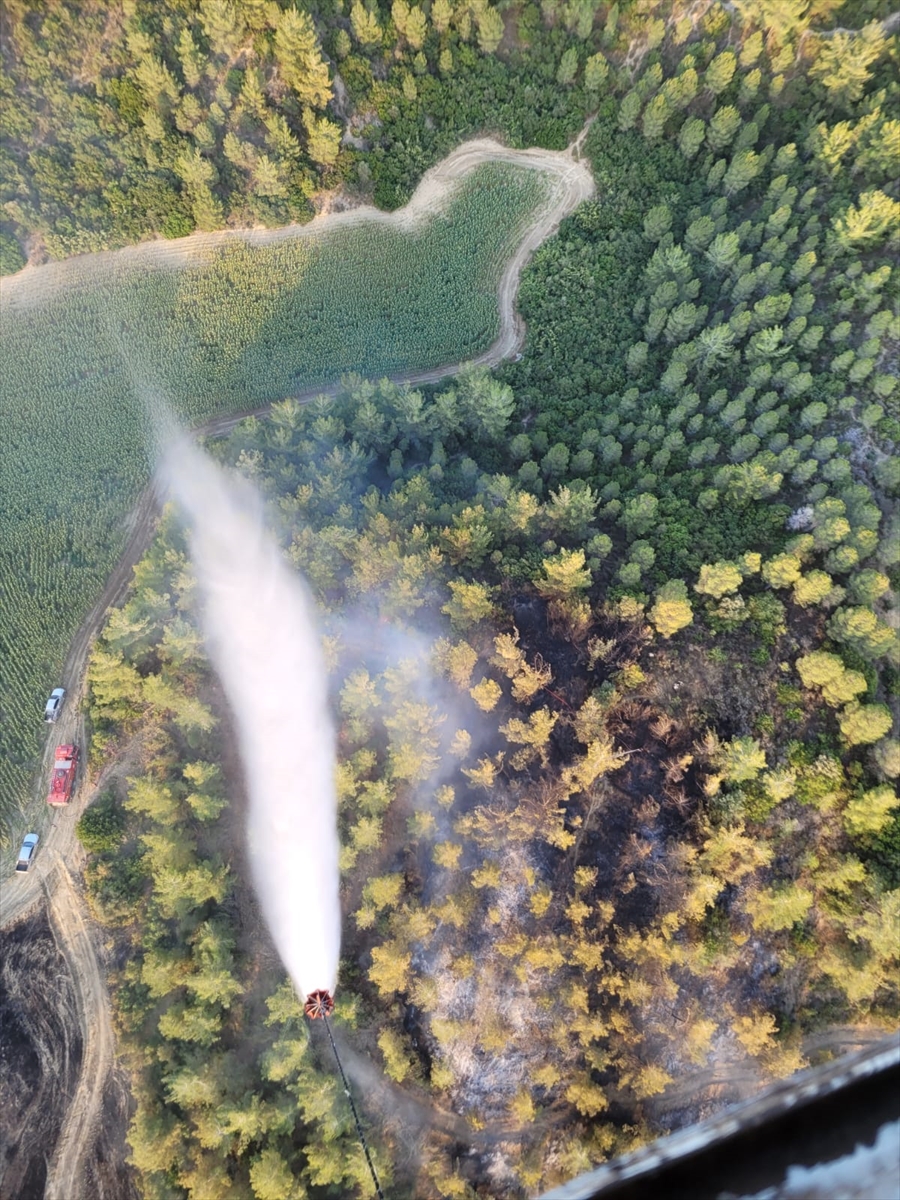 GÜNCELLEME – Adana'da ormanlık alanda çıkan yangın kontrol altına alındı