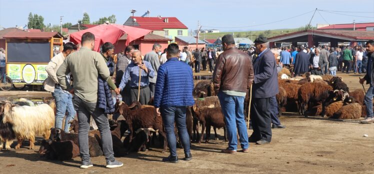 Ağrı Hayvan Borsası'nda Kurban Bayramı yoğunluğu yaşanıyor