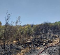 Antalya'da çıkan orman yangını söndürüldü