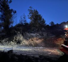 Antalya'da çıkan orman yangını söndürüldü