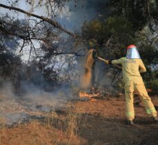 GÜNCELLEME – Antalya'da çıkan orman yangını kontrol altına alındı