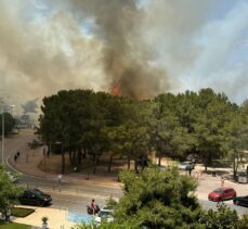 Antalya'da yerleşim yerine yakın ağaçlık alanda yangın çıktı