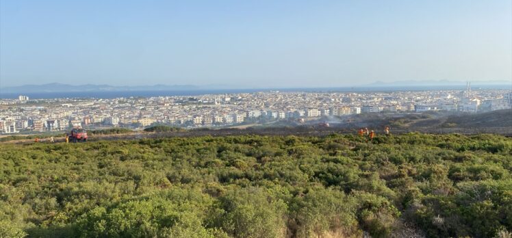 Aydın'da makilik alanda çıkan yangın kontrol altına alındı