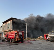 Aydın'da otluk alanda başlayan ve bir fabrikaya sıçrayan yangına müdahale ediliyor