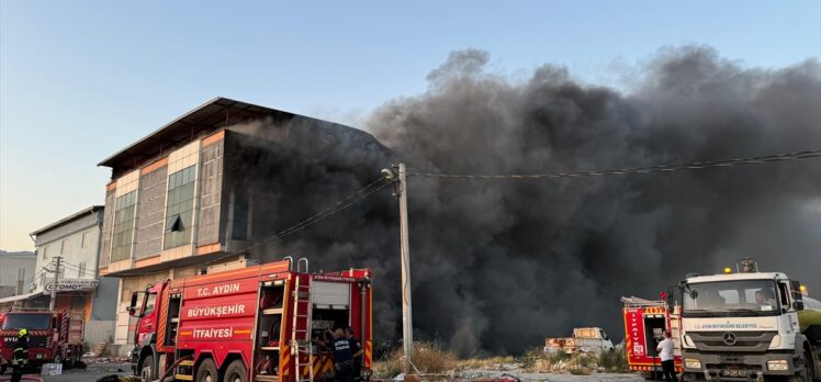 Aydın'da otluk alanda başlayan ve bir fabrikaya sıçrayan yangına müdahale ediliyor