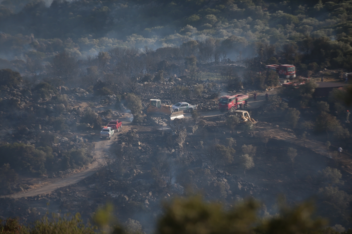 GÜNCELLEME – Ayvacık'ın Behram köyünde çıkan yangına müdahale ediliyor