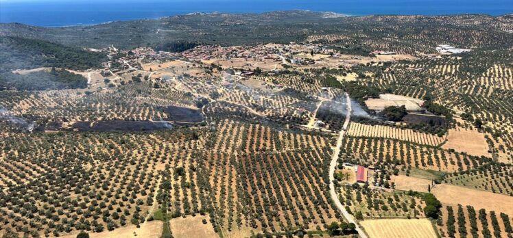 Balıkesir'de çöplükten zeytinliğe ve tarım arazisine sıçrayan yangın söndürüldü