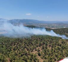 Balıkesir'de orman yangınına müdahale ediliyor