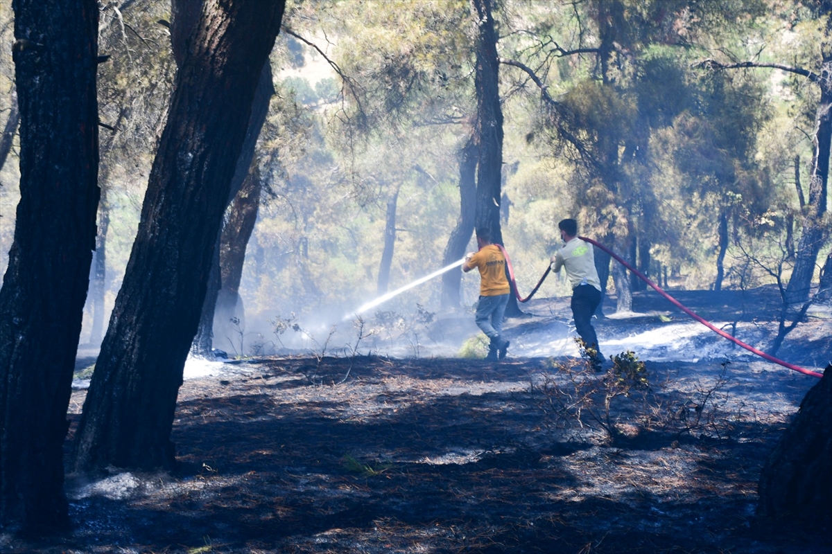 İzmir ve Balıkesir'deki orman yangınları kontrol altına alındı (2)