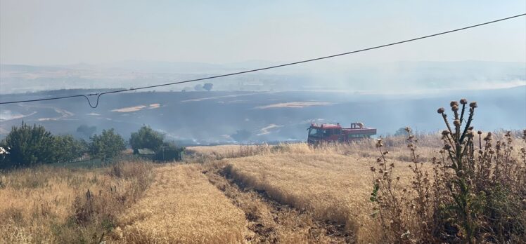 Balıkesir'de ormanlık alandaki yangına müdahale ediliyor