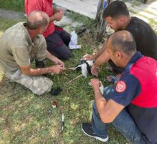 Bingöl'de itfaiye ekibi yıkılan leylek yuvasını onardı