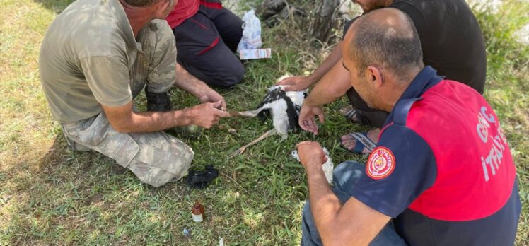 Bingöl'de itfaiye ekibi yıkılan leylek yuvasını onardı