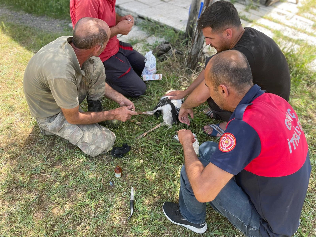 Bingöl'de itfaiye ekibi yıkılan leylek yuvasını onardı