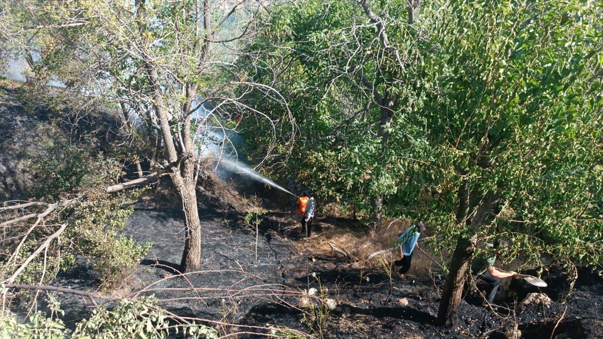 Bingöl'de ormanlık alanda çıkan yangın söndürüldü