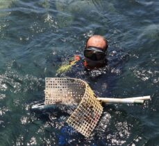 Bodrum'da dalgıçlar deniz dibinden 800 kilogram atık çıkardı