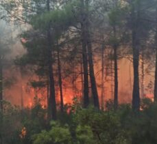 Burdur’da çıkan orman yangını kontrol altına alındı