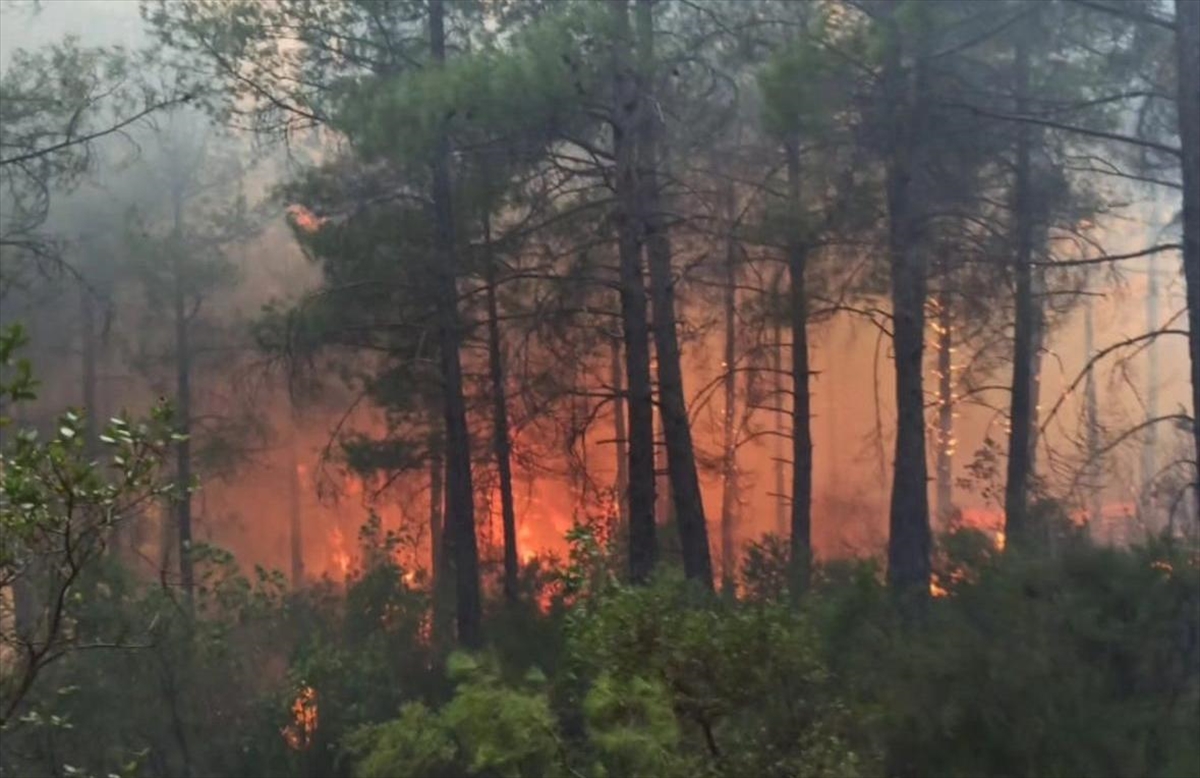 Burdur’da çıkan orman yangını kontrol altına alındı