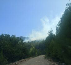 Burdur'da iki yerde çıkan orman yangını söndürüldü