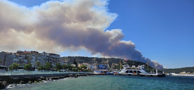 Çanakkale'nin Eceabat ilçesindeki orman yangınına müdahale ediliyor