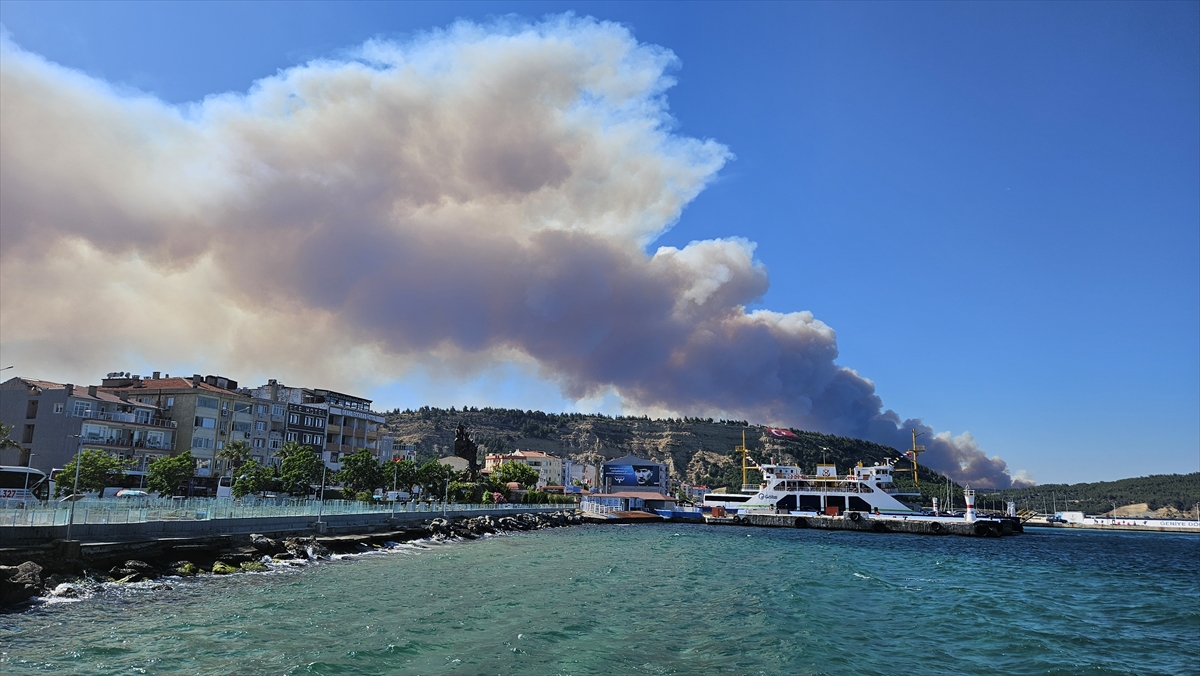 Çanakkale'nin Eceabat ilçesindeki orman yangınına müdahale ediliyor