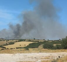 Çanakkale Ezine'de ormanlık alanda etkili olan yangına müdahale ediliyor