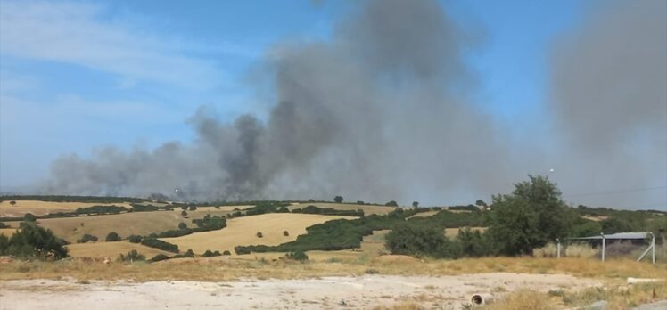 Çanakkale Ezine'de ormanlık alanda etkili olan yangına müdahale ediliyor