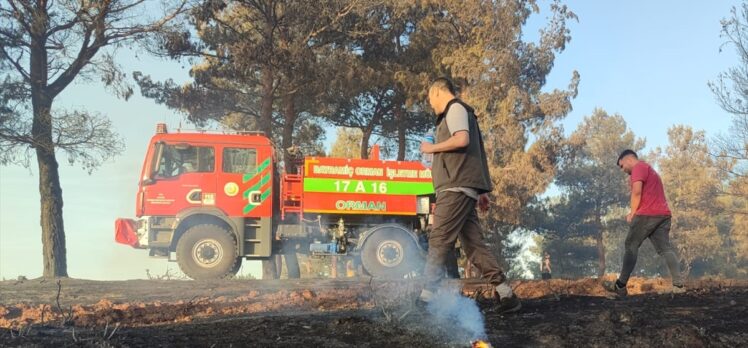 GÜNCELLEME – Çanakkale'de ormanlık alanda çıkan yangın kontrol altına alındı