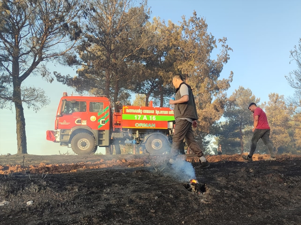 GÜNCELLEME – Çanakkale'de ormanlık alanda çıkan yangın kontrol altına alındı