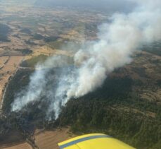 Çanakkale'de ormanlık alanda çıkan yangına müdahale ediliyor