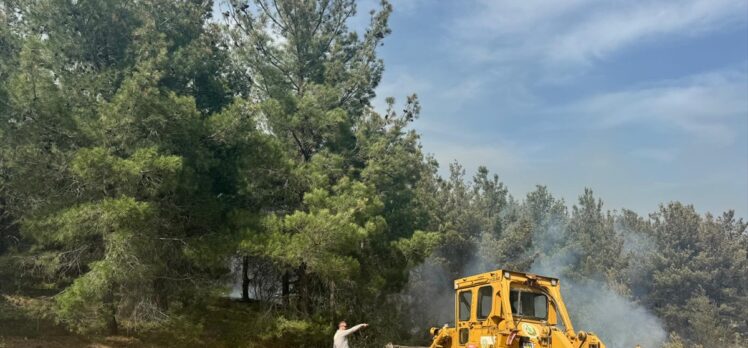 GÜNCELLEME – Çanakkale'de ormanlık alanda çıkan yangın kontrol altına alındı