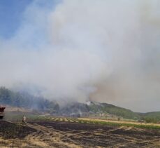 Çanakkale'de ormanlık alanda çıkan yangına müdahale ediliyor