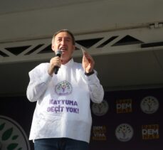 DEM Parti, Hakkari'de miting düzenledi