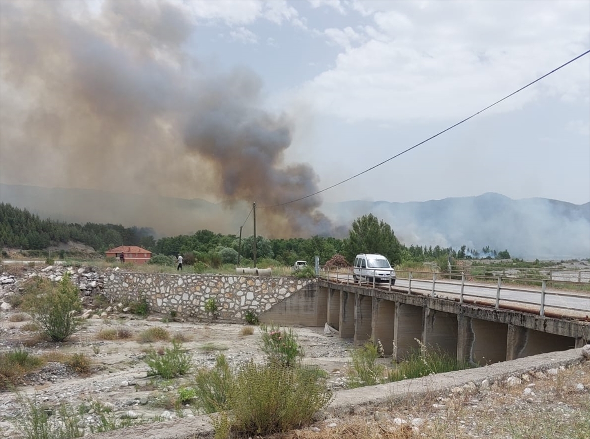 Denizli'de 7 ilçede çıkan orman yangınlarına ekiplerce müdahale ediliyor