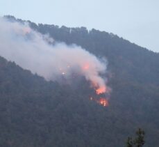 GÜNCELLEME 2 – Denizli'de 7 ilçede çıkan orman yangınlarından 6'sı kontrol altına alındı
