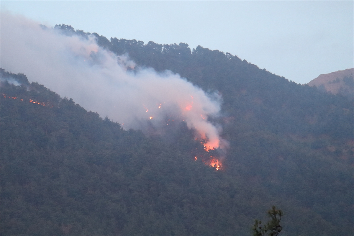 GÜNCELLEME 2 – Denizli'de 7 ilçede çıkan orman yangınlarından 6'sı kontrol altına alındı