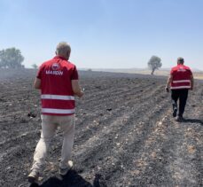 Diyarbakır ve Mardin arasındaki anız yangınına yönelik hasar tespit çalışması yapılıyor