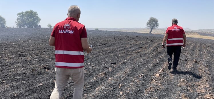 Diyarbakır ve Mardin arasındaki anız yangınına yönelik hasar tespit çalışması yapılıyor