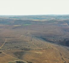 Diyarbakır ve Mardin arasındaki anız yangınında soğutma çalışması tamamlandı