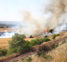 Diyarbakır'da buğday ekili alanda çıkan yangın söndürüldü