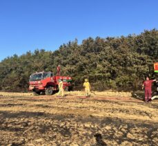 Edirne'de ormanlık alanda çıkan yangın söndürüldü