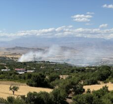 Elazığ'da çıkan yangında 45 dönüm ormanlık ve ekili alan zarar gördü