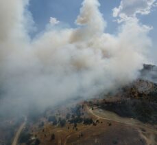 Elazığ'da ormanlık alanda çıkan yangına müdahale ediliyor