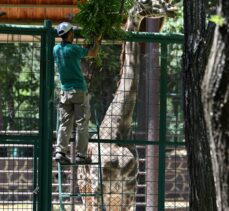 Gaziantep Doğal Yaşam Parkı 9 günlük bayram tatilinde 85 bin kişiyi ağırladı