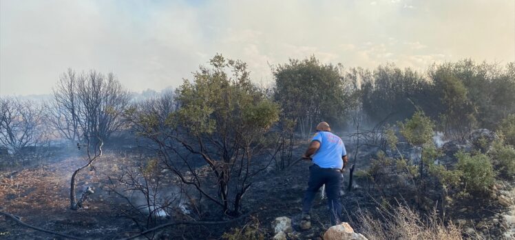 Gaziantep'te fıstık ve zeytin bahçelerinde çıkan yangına müdahale ediliyor