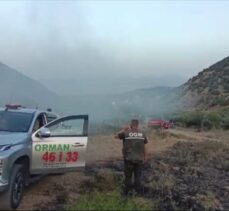 Gaziantep'te ormanlık alanda çıkan yangın söndürüldü