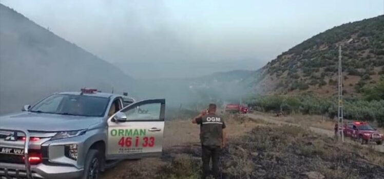 Gaziantep'te ormanlık alanda çıkan yangın söndürüldü