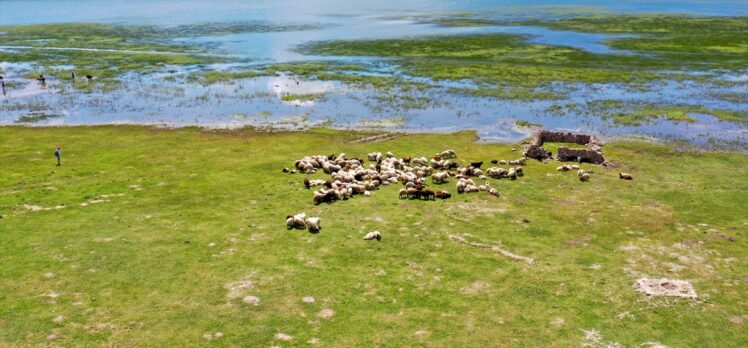 Geçen yıl kuruma noktasına gelen Meydan Boğazı Göleti, yağışlarla eski seviyesine ulaştı