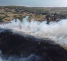 Isparta'da Eğirdir Gölü kıyısındaki sazlık alanda yangın çıktı